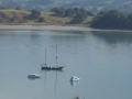 Calm-harbour-and-yachts